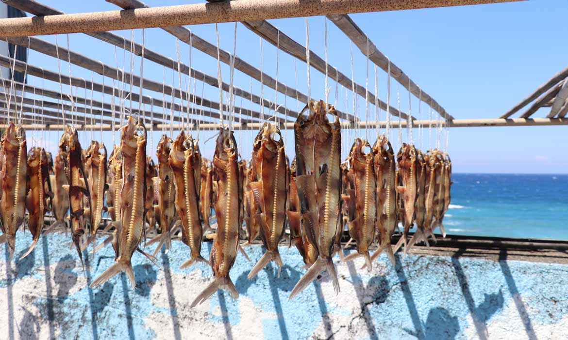 dried flying fish by the ocean
