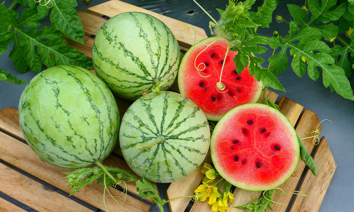 Taiwanese watermelon