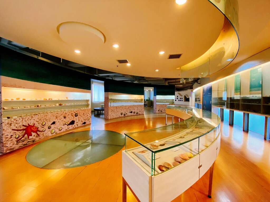 cijin shell museum