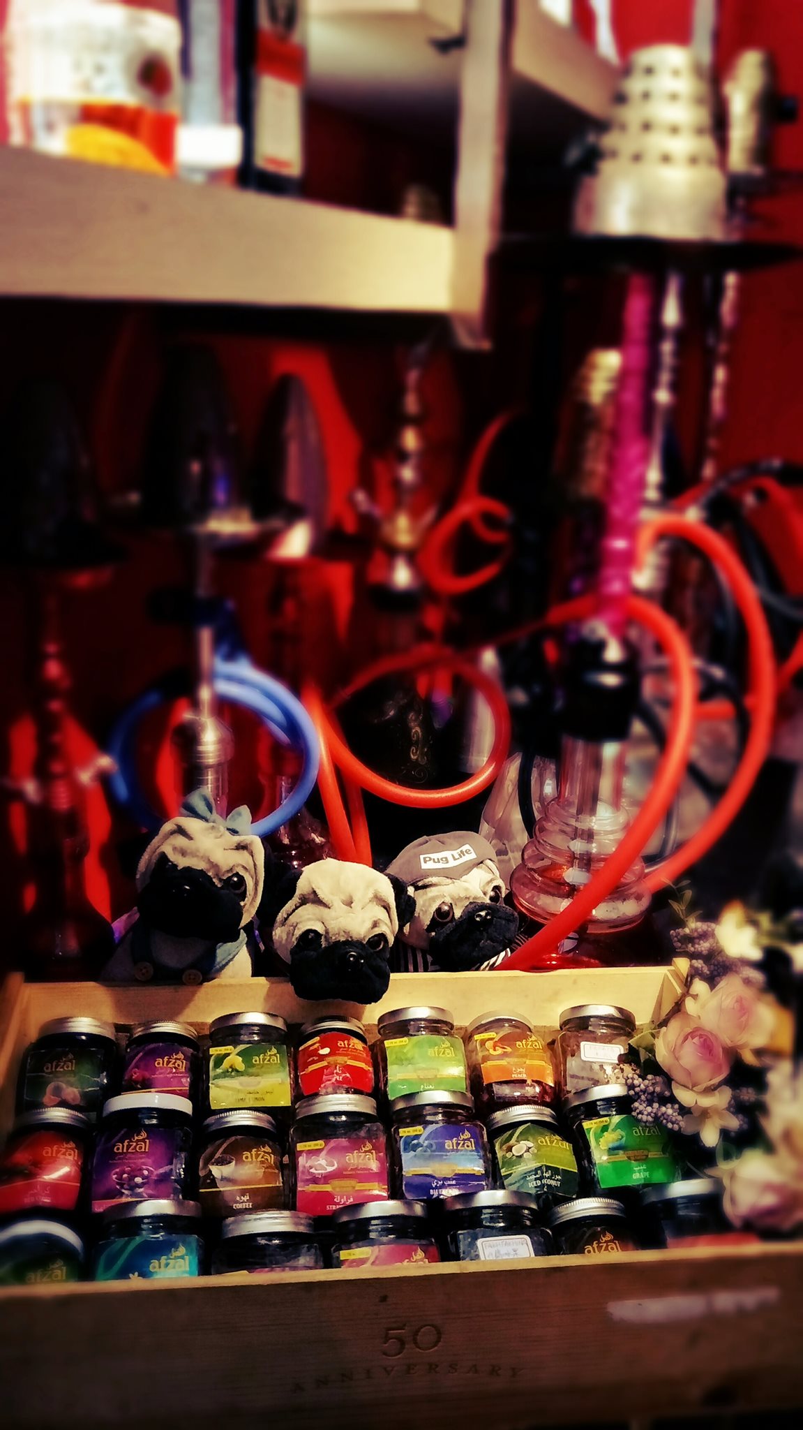 shisha