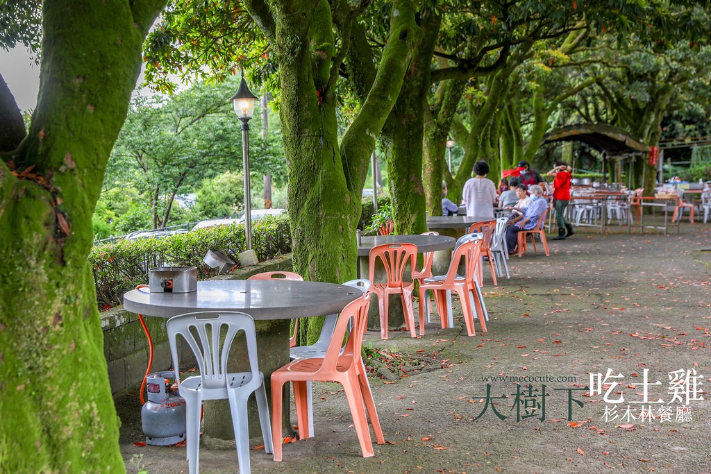 eating in yangmingshan