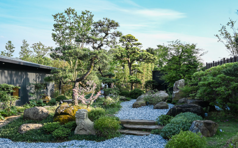 japanese garden